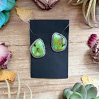 17 - Sterling Silver Sonoran Turquoise Stud Earrings by Jason Ogg