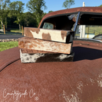 Ring Cowhide Tray