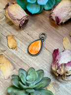 MJ Orange Spiny Oyster Sterling Silver Pendant – Teardrop